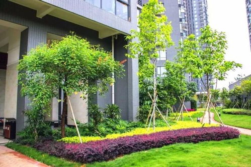 匠心筑境 詩意棲居——中國風(fēng)景園林學(xué)會“優(yōu)秀園林工程”精品項目回顧