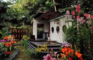 中國園林 未盡園林先有情